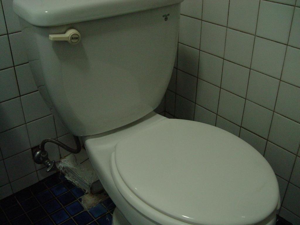 Saewha Hostel Сеул Номер фото